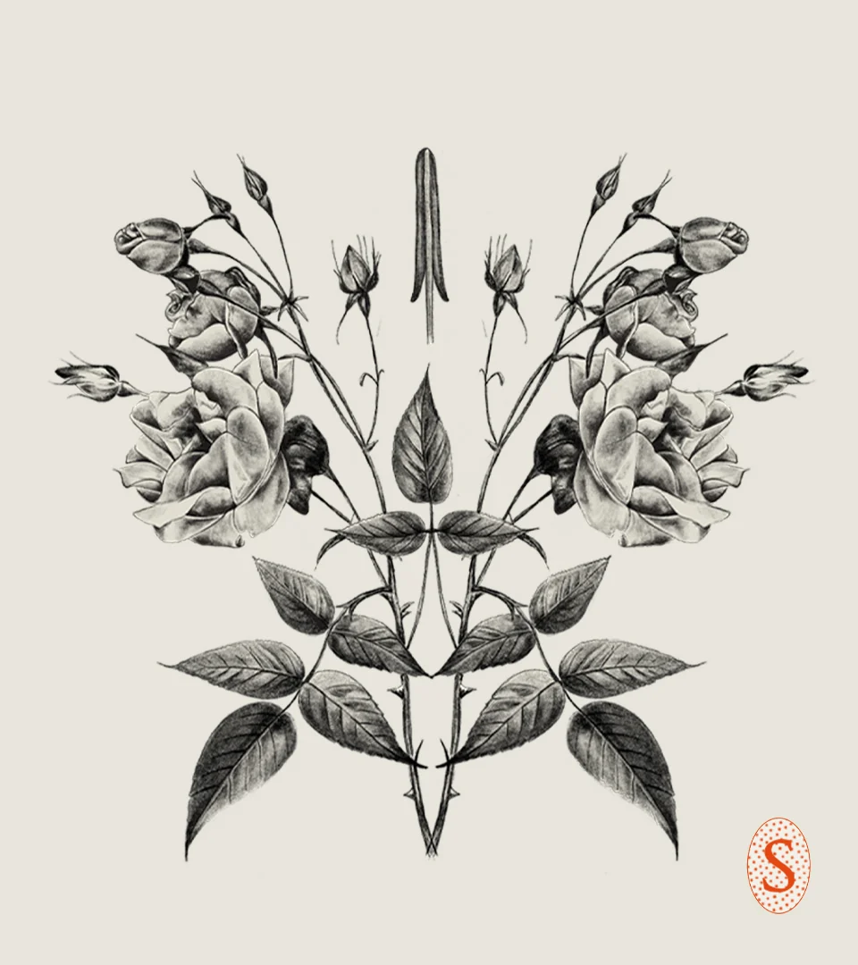 Stigma Sparkling Wine – design work by Melody Rose