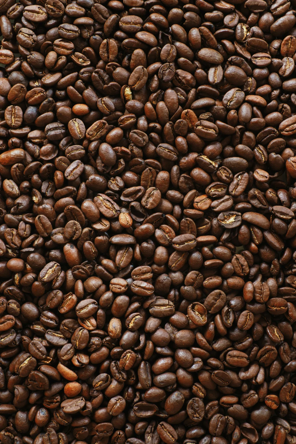 Felicity Coffee detail – design work by Melody Rose