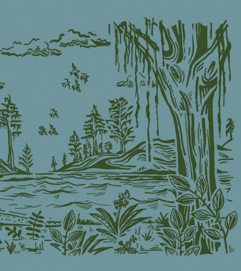 The Lodge at Marconi – design work by Melody Rose