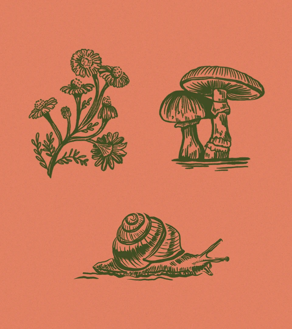 The Lodge at Marconi – design work by Melody Rose