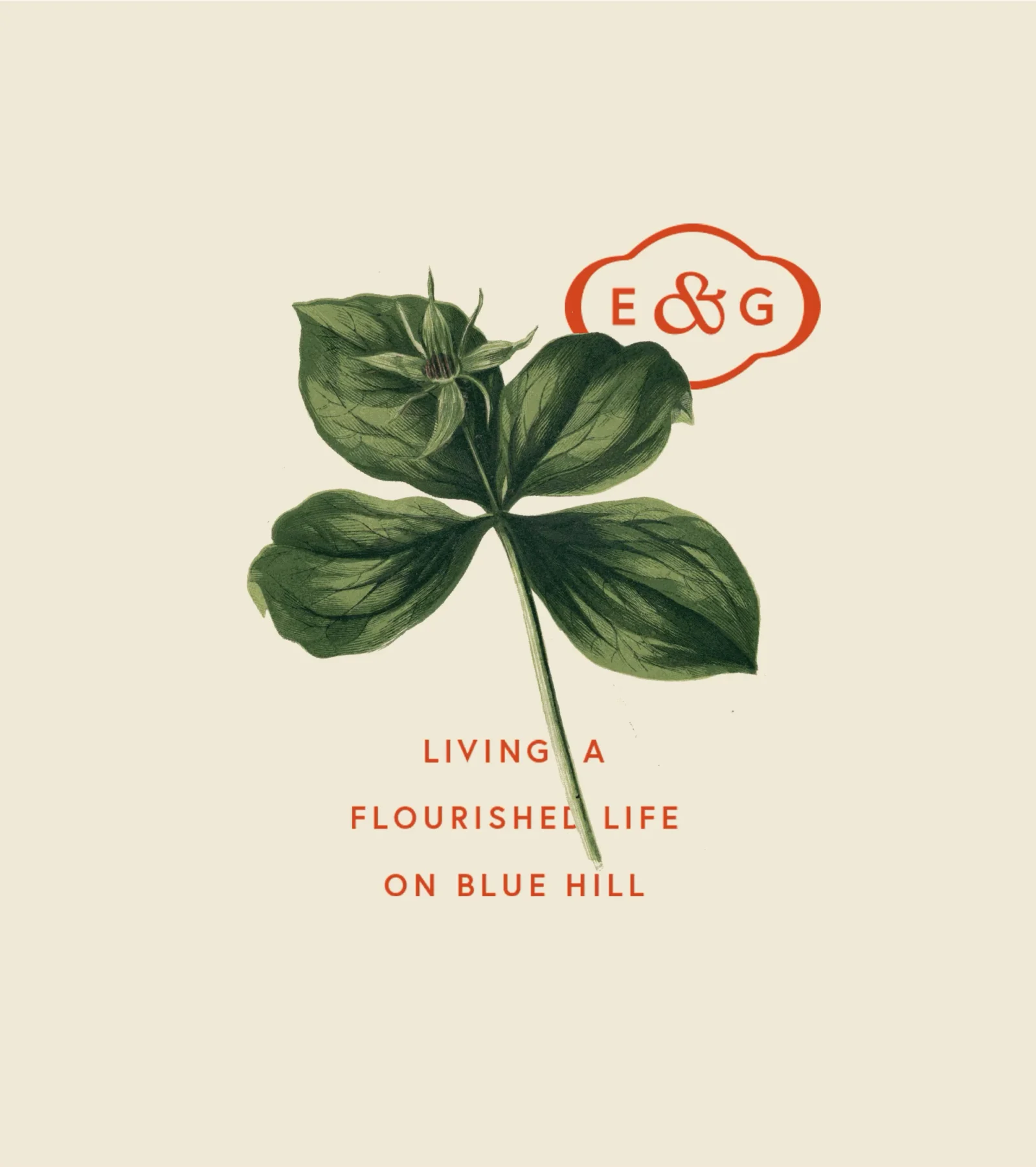 Elle & Gray – design work by Melody Rose